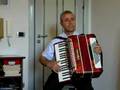 CHERRY PINK - accordion acordeon accordeon akkordeon akordeon fisarmonica - CERISIER ROSE - CEREZO ROSA - CILIEGI ROSA - LIEBE IM VORÜBERGEHEN