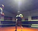 floats like a butterfly sting like a bee rumble young man rumble