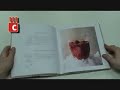 mes 100 recetes d oeufs mes 100 recetes d oeufs