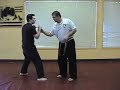 AKKF - Mohamad Tabatabai - American Kenpo- 15 Low Kicks