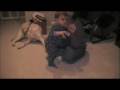 videos de Bobo Walking