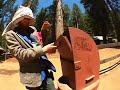 Flying Jumbo Comes to Camp