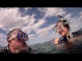 Snorkel diving with whale sharks - La Paz - La Ventana Baja - Motionboardshop.com