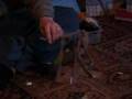 Jaedon-s-trebuchet