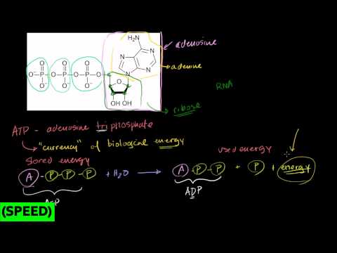 how to dissolve adenosine