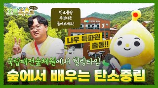 숲에서 배우는 탄소중립 ? 국립대전숲체원ㅣ초록속으로 EP.01