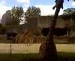 un animal bizarre........