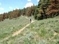 North fork Colorado trail 6/28