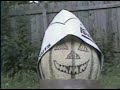 BJFE Honey Bee Overdrive Distortion (Jackalope 4)