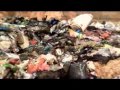 Brunei Darussalam - Climate Change : Causes, Impacts and Initiatives in Brunei Darussalam