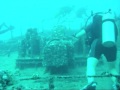 Sea Tiger Wreck Dive Oahu
