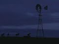 Drover\ Drover\