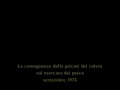 Anzio, 1939-1973 - Nella memoria (In the memory)