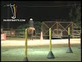 Click here to watch this video Trote y Galope - Testimonio de Villa Nataly, Exposede 2012