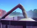 TREBBIATURA GRANO 3 TREBBIATURA GRANO 3