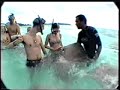 tahiti.html