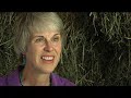 Wisdom Horse Coaching Philosophy Wisdom Horse Coaching Philosophy