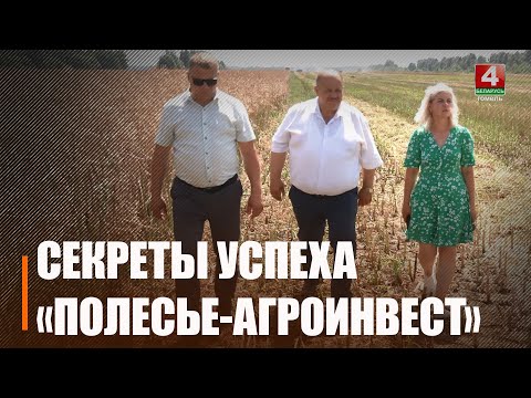 Вядучае сельгаспрадпрыемства Петрыкаўшчыны закрыла дзяржзаказ па рапсе, намалаціўшы 950 тон, і пачало ўборку пшаніцы і жыта видео