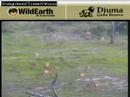 Sunrise drive 113007-2 Sunrise drive 113007-2