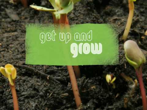 how to grow as dba