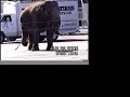 Ringling Bros. Circus Deprives Elephants of Life