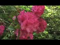 Watch: Milner Gardens & Woodland