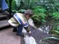 videos de CIMG9818.MOV