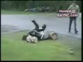 Accidentes divertidos, para cagarse de risa!!!!!