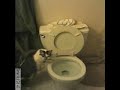My Cat Flushes the Toilet