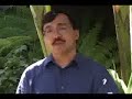 Pyrolysis, Gasification and Plasma Incineration: Part 4