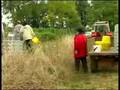 Ste Colombe village wine harvest Pt 1 View Video
