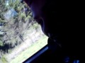 La encuesta de la pulga :)