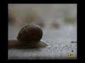 BANNED Tmnet Streamyx Commercial 2 BANNED Tmnet Streamyx Commercial 2