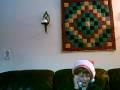 Santa Claws