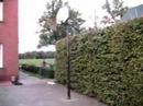maarten vanhout / shot of 40 meters