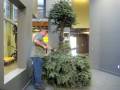 Dismantling The Christmas Spirit
