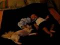 videos de Tuffy plays with Nathaniel 2