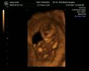 Baby 2.0 Baby 2.0