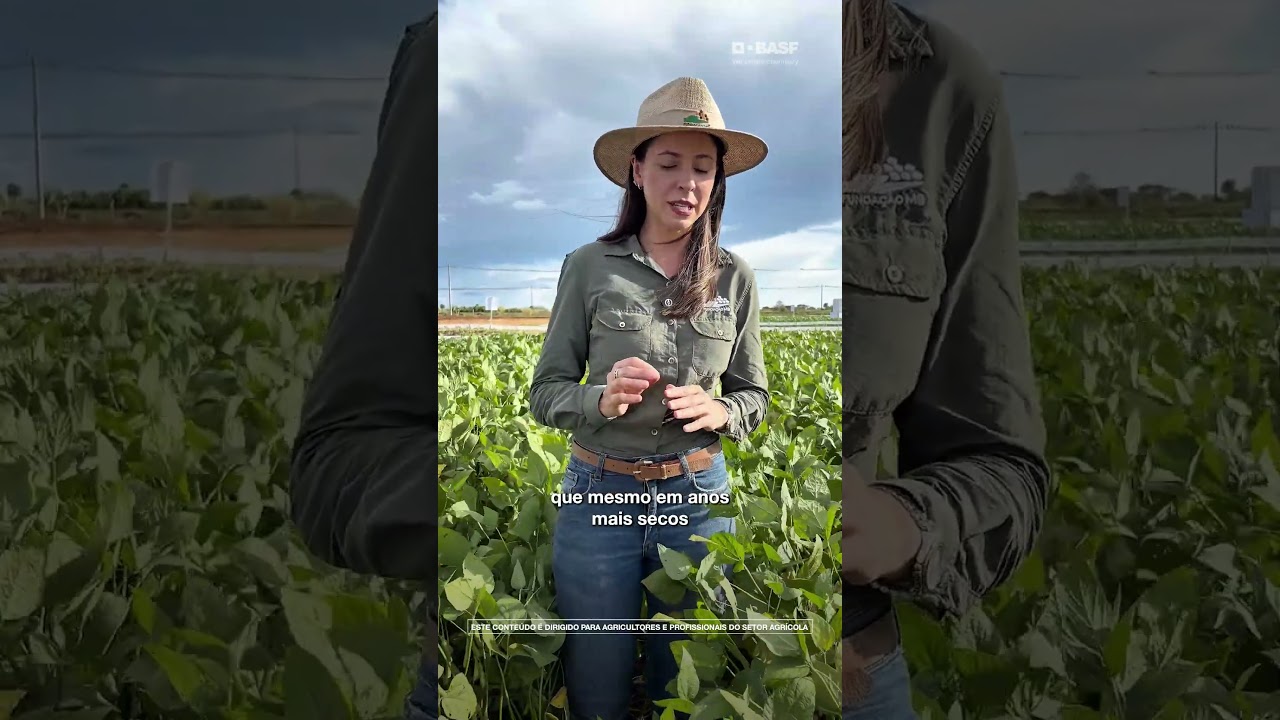 A Cercospora já está na sua lavoura.