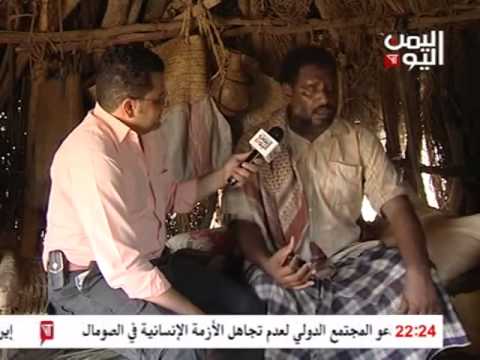 على شاطئ الوادي نظرت حمامة (على شاطئ المطبخ نظرت دجاجة)
