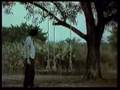 Film: Tee Tee Row Ruk Gun