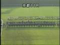 2008　エリザベス女王杯　パトロールVTR　落馬・競走中止