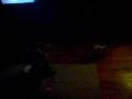 videos de Crazy dog