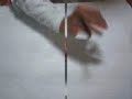 TaepoDong TaepoDong