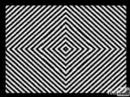 Ilusión Optica y Alucinación