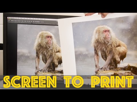 Prints that MATCH the Screen