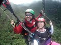 A lagarta virando borboleta