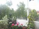 Paseo