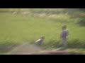 Nile 3 - birds