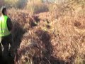Chasse sanglier sarthe
